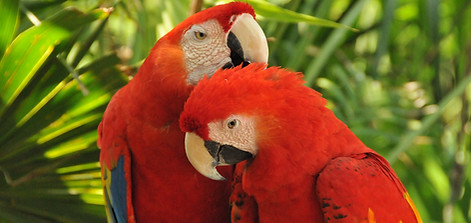 Costa Rica.JPG