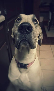 Ellie