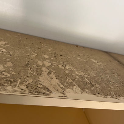 top of cupboard before cleaning