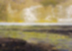 Flamborough south cliff