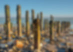 Spurn Uprights