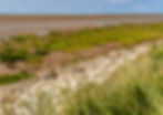 Grimsby over Easington Clays