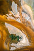 dave-hoefler-IvwBoX7O9Ls-unsplash_1927x2887.jpeg