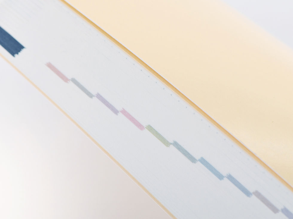 Hobonichi Cousin planner side view with color coded sections