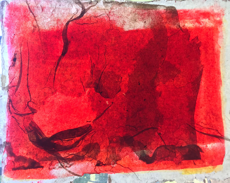 cochineal