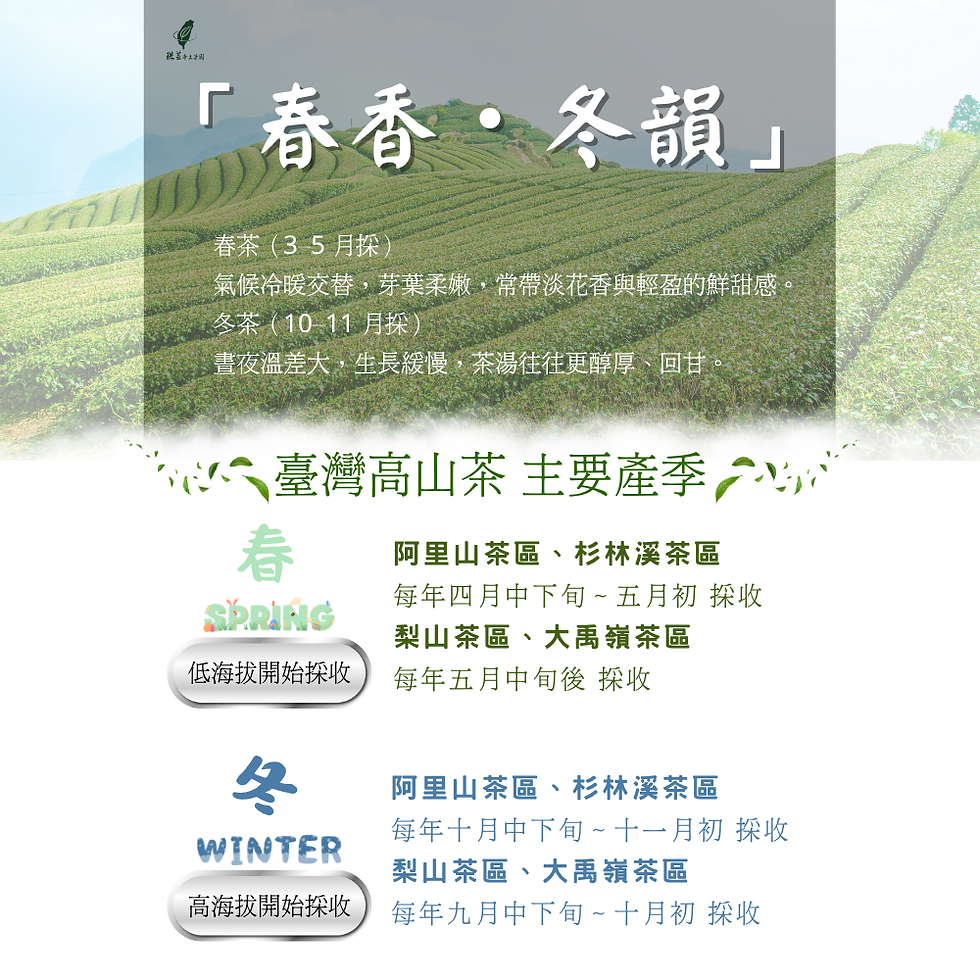 縮圖：阿里山｜藏香奮起湖『2025冬茶』