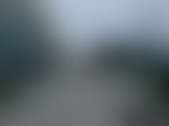 OP-ED: Uniqueness Can Be Worth More than Cash