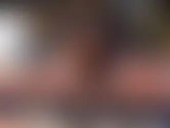 Sports Summary (12/1-12/7)