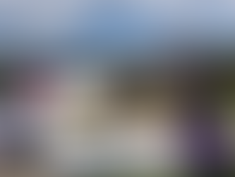 UAlbany’s First 5K Race for Equity