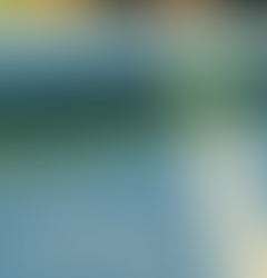 Surviving the ICE Age: UAlbany Sociologist Examines Impact of ICE on Immigrant Families