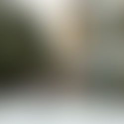 Fence Installation at Empire Commons Prompts Student Safety, Access Concerns