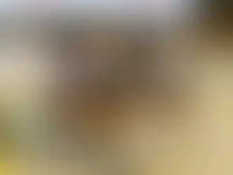 Sports Summary (11/17-11/23)