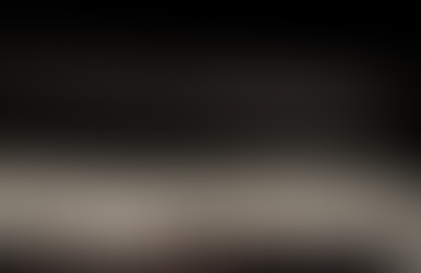 The University Symphony Orchestra and Concert Band Performance 