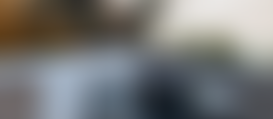 Crime Blotter (1/23-1/29)