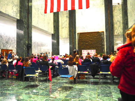 Planned Parenthood Rallies in Albany, Seeking $123m in State Funding Amid Federal Budget Cuts