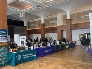 UAlbany Job and Intern Fair Opens Doors for Students