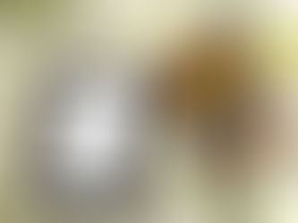 OPINION: Are eBooks too Distracting?