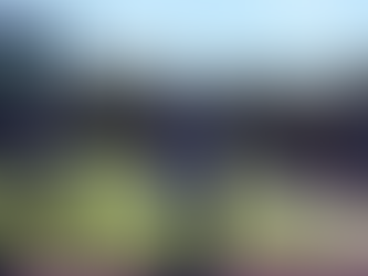 UAlbany Football Loses in Close Game to Bryant