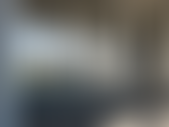 UAlbany Experiences Changing Enrollment Demographics