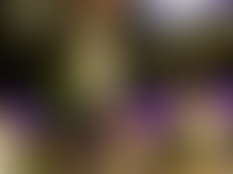 Men’s Basketball Sets a Program Record Against SUNY Delhi