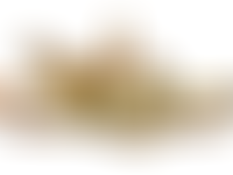 REVIEW: The Ballad of Songbirds and Snakes, the Newest Addition to the Hunger Games Legacy