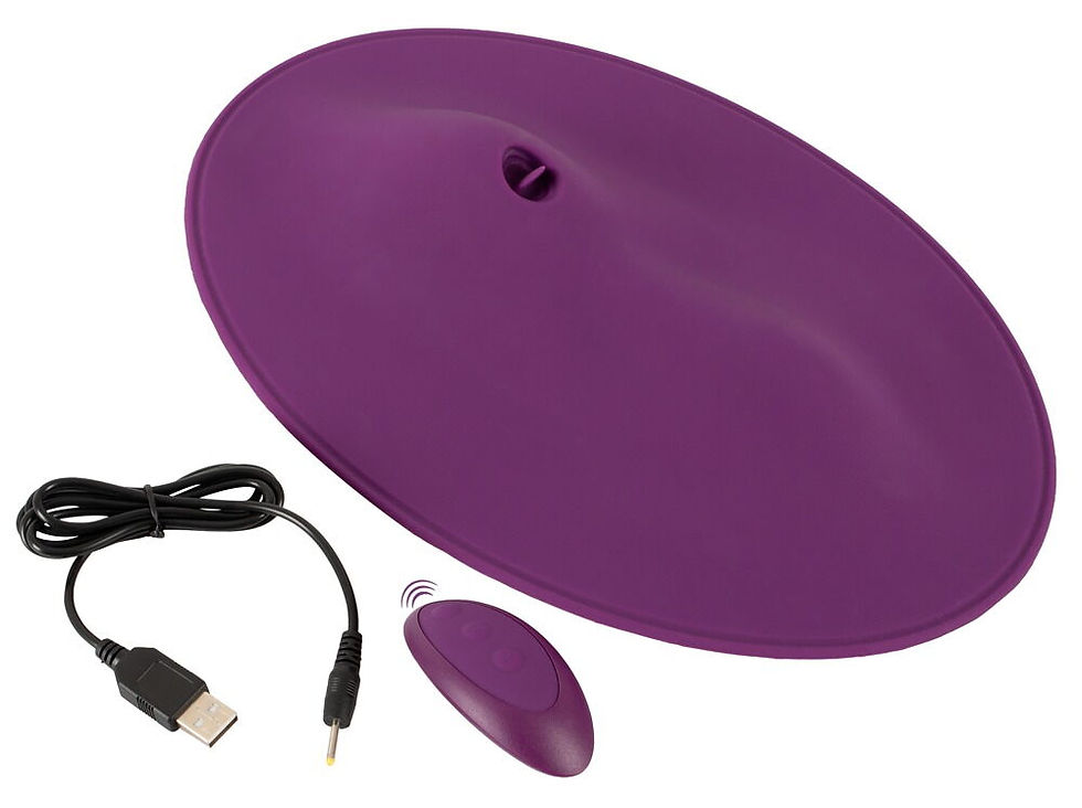 Thumbnail: Lieferumfang Vibepad 2: Vibrokissen Vibepad 2, Ladekabel, Fernbedienung