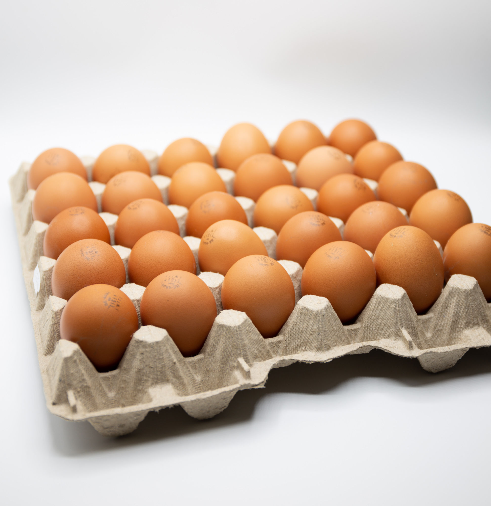 Verse eieren 30 stuks