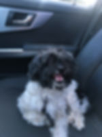 file (6).jpeg
