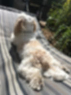 file1 (5).jpeg