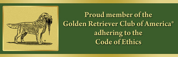 Golden Retriever Club Member Banner