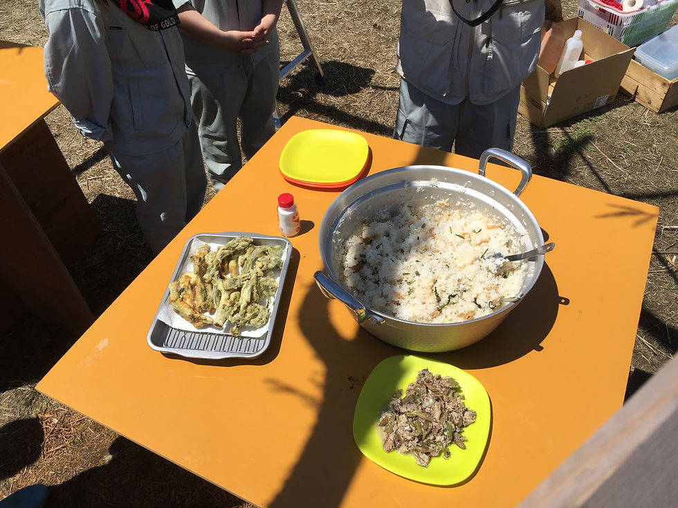 山菜づくしご飯の完成!