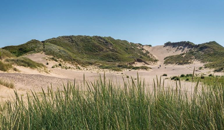 sand dunes