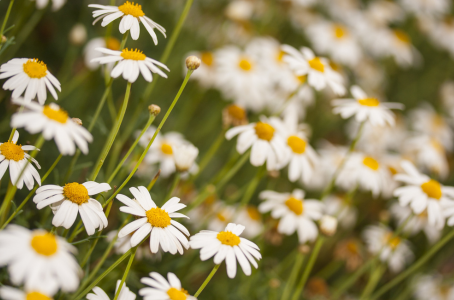 How a Clean HVAC System Can Help You Breathe Easier