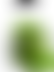 Nut - free Basil Pesto