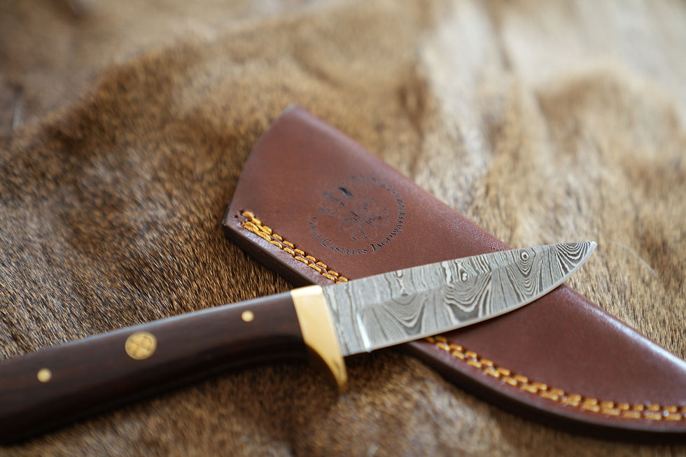 Miniaturbild: Messer 1