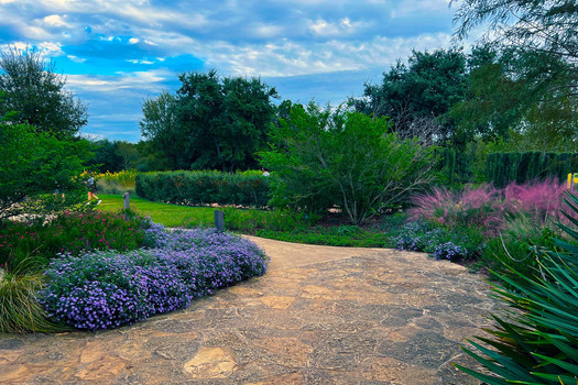 Lady Bird Johnson Wildflower Center