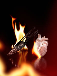 Wonderland Studio est Photographe de Nature morte Numero Magazine Édito Objets de désir  Paris Accessoires Gucci direction artistique Chaussures Sac