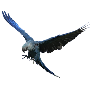 Green Illustration Environmental Sustainability Presentation(6).png