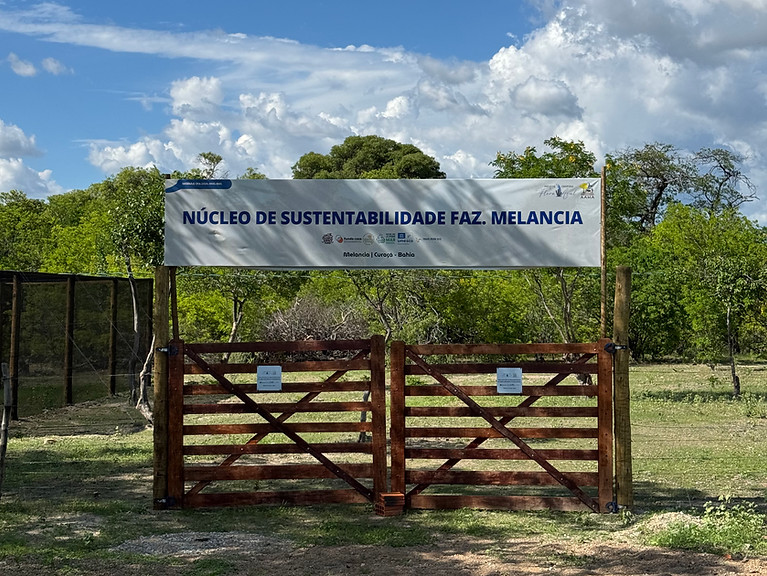 nucleo de desenvolvimento sustentavel fazendo melancia curaca apa area de preservacao da ararinha