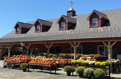 farm market.jpg