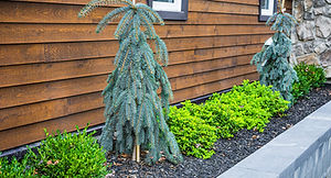 amenagement_2024_3.jpg