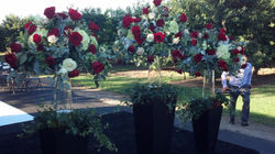 Jenn cell phone 282.jpg