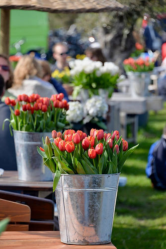 30706224_10214077439582854_2435957754955