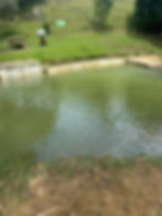 WhatsApp Image 2025-07-06 at 3.59.08 PM