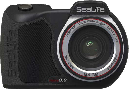 sealife-news-2020-3.gif