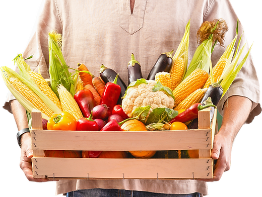 Une cagette de légumes new food