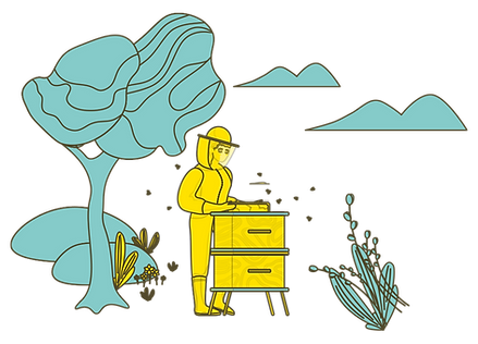 illustration_francais.PNG