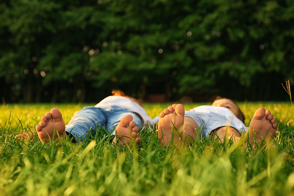 enfants-herbe-nature-distribution