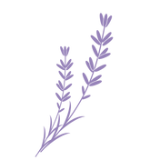 illustration_fleur_08.PNG