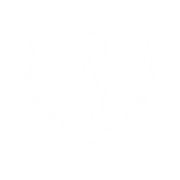 White Embroidered.png